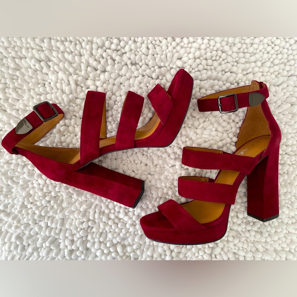Beautiful COACH Pumps, Rich Red Color and a 5” heel.